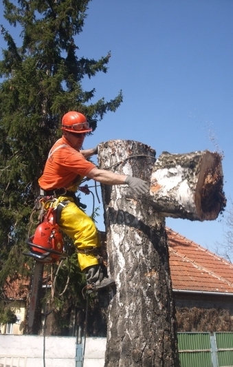 lebontás